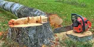  La Villa, TX Tree Services Pros